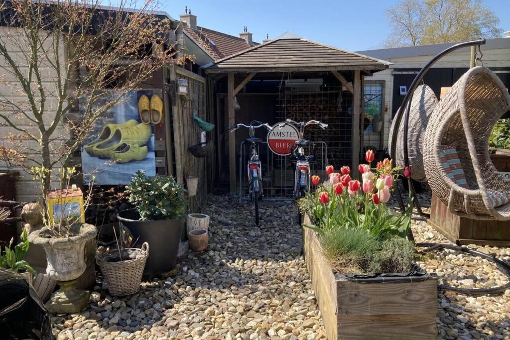 הוילה Oudesluis  Tiny House Holland מראה חיצוני תמונה